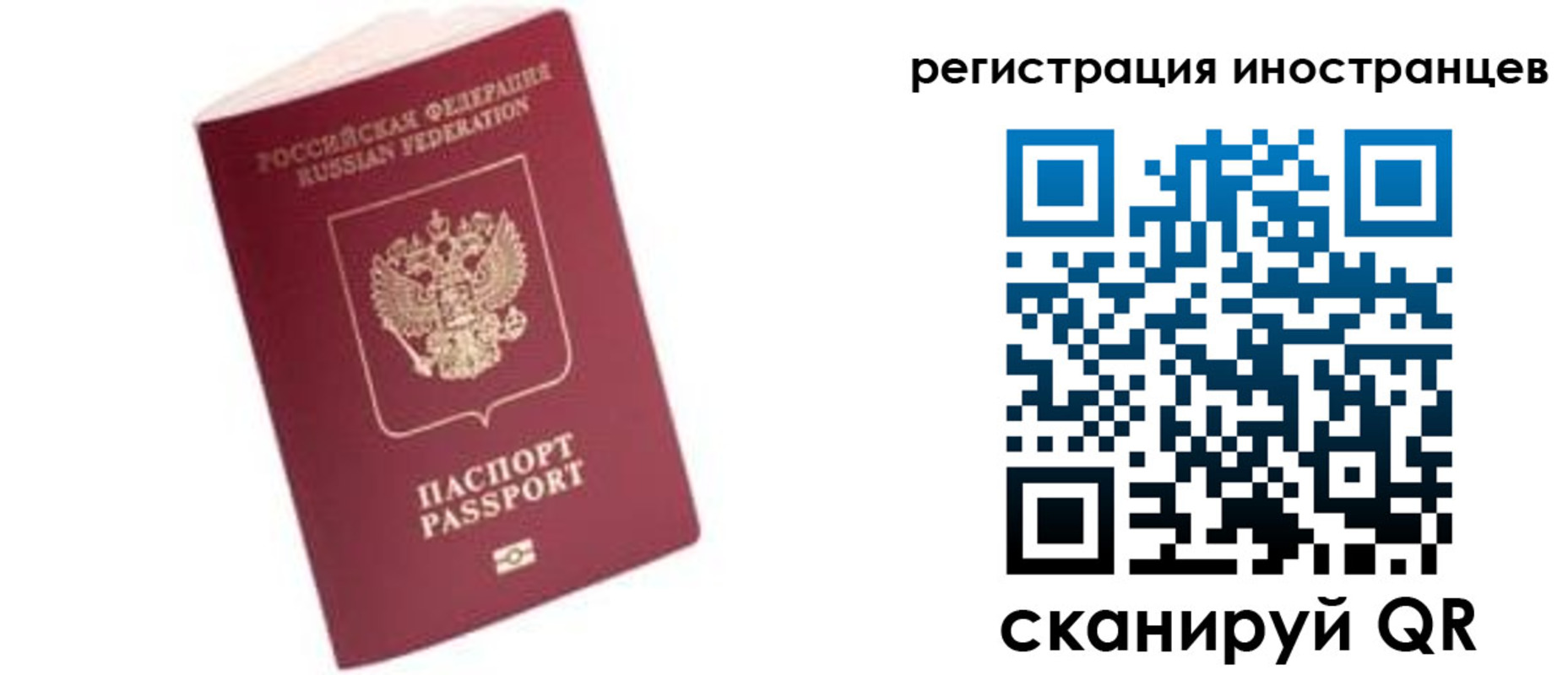 прописка гарантия в Обояни